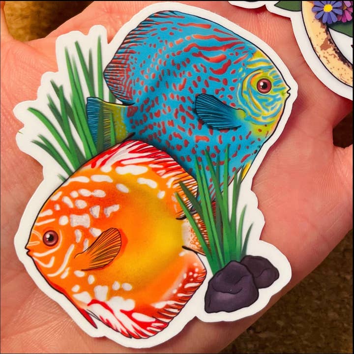 Dirty Brushes - Wholesale Sticker - Discus Cichlid Fish Aquatic aquarium Sticker Decal