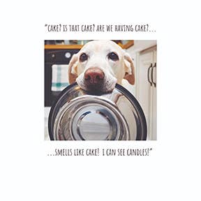 EMOTIONAL RESCUE - Wholesale Everyday Greeting Card - NFSP-99-PACK Post Office Greetings Card Offer