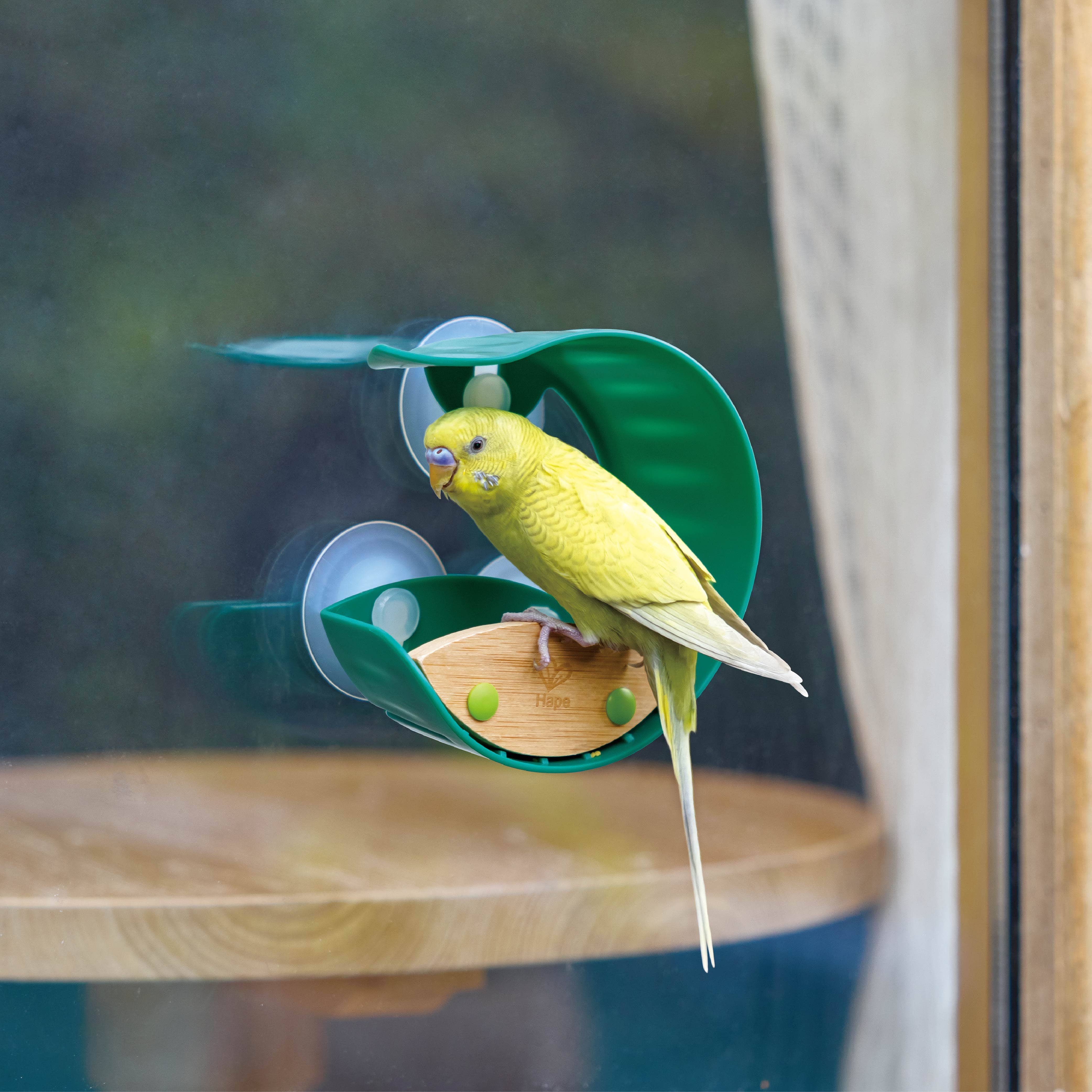 Hape Toys - Wholesale Bird Feeder - Window Bird Feeder3