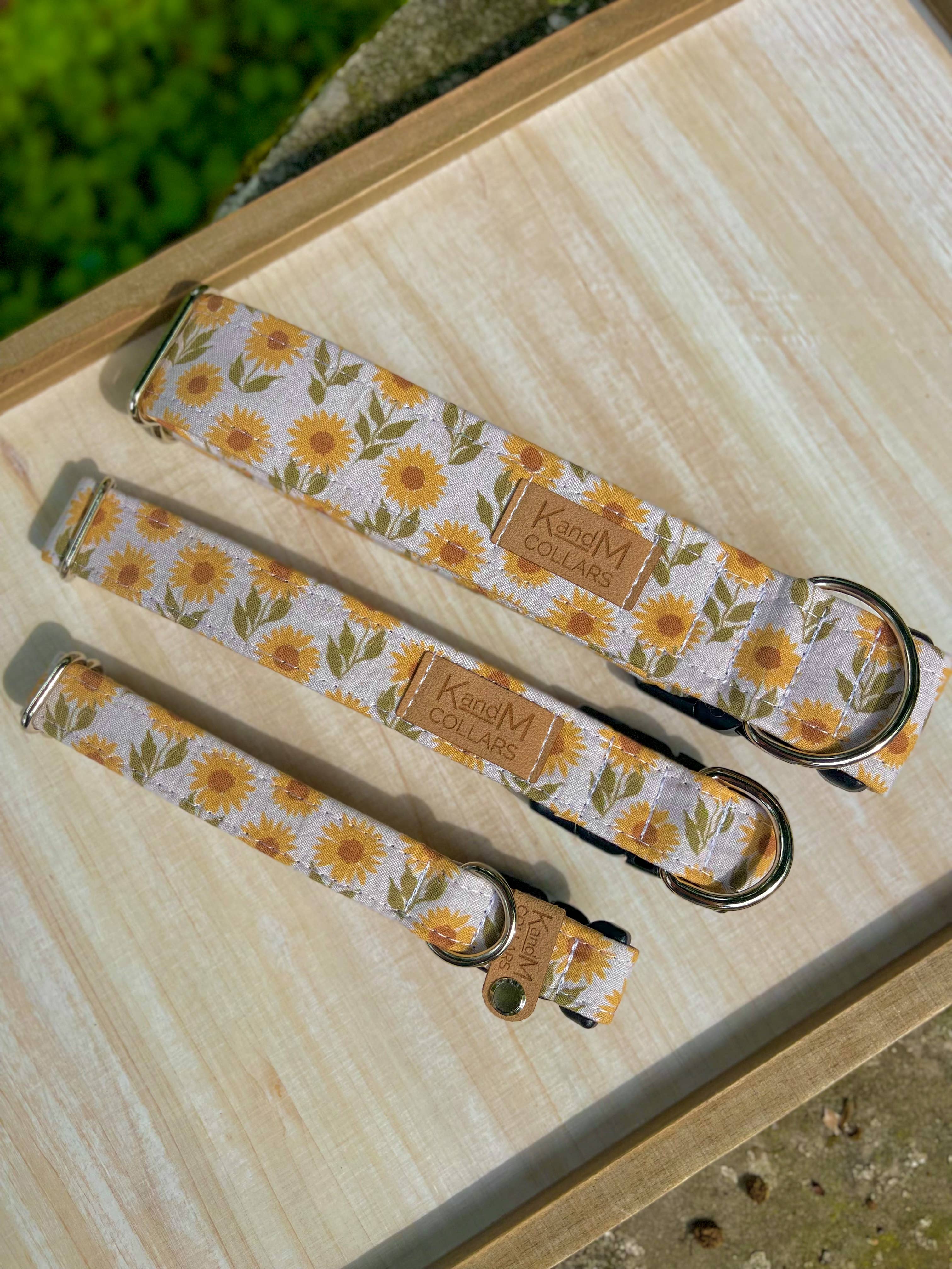 K and M Collars - Wholesale Pet Collar - Dog - Sunflower Fields Dog Collar, Fall, Halloween,K and M Collars1