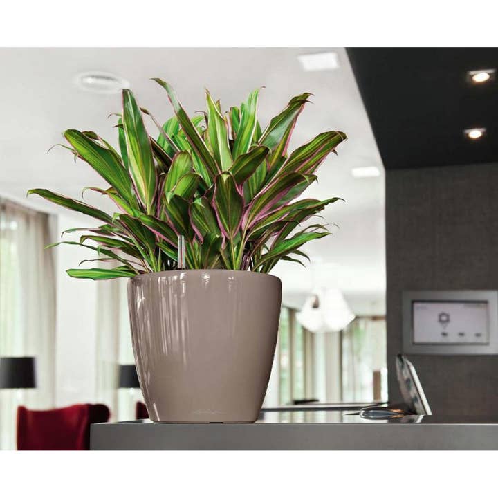 Lechuza Self Watering Planters - Vendita all'ingrosso Vasi per piante - LECHUZA CLASSICO LS Vaso rotondo in poliresina15