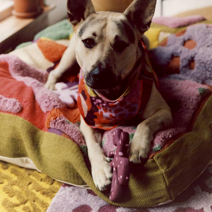 ProbaHome - Wholesale Pet Bed - Cat/Dog - "Sam's" Bed6