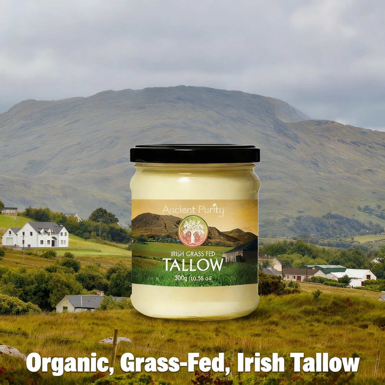 Ancient Purity - Wholesale Cooking Oil - Tallow - 225g | Irish Grass Fed Beef Tallow | Glass Jar1