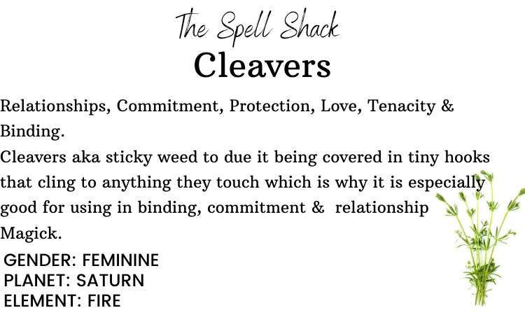 Witchuals - Rituals & Spellwork Apothecary - Venta al por mayor Artículo de meditación - Cleavers2