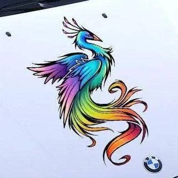 Envelopamento gráfico personalizado para capot do automóvel — Design desportivo "Blackout" por atacado de Decords