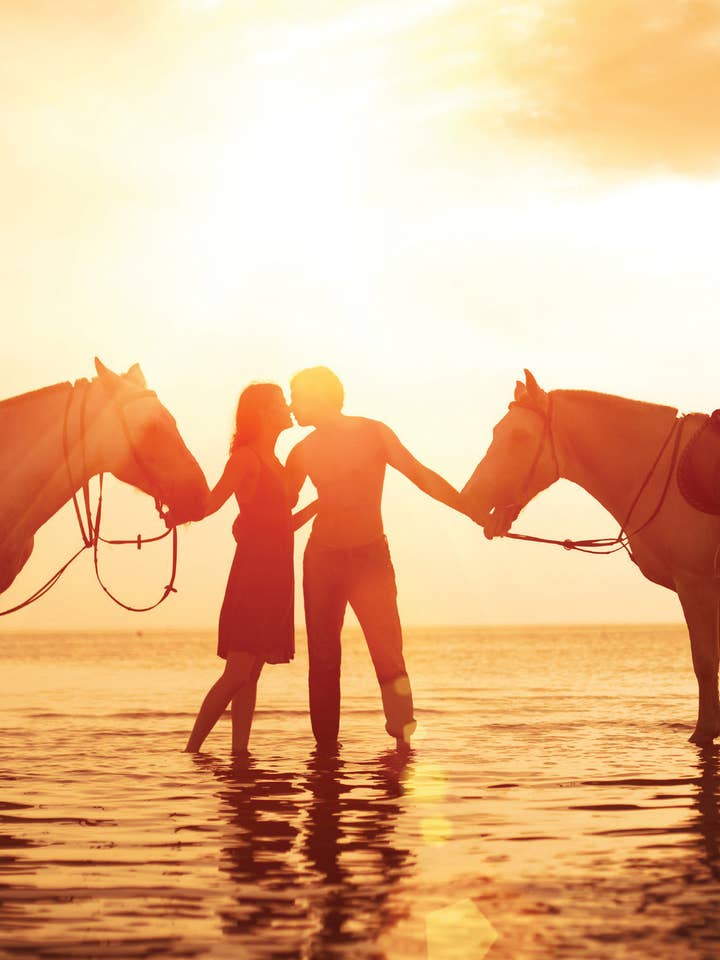 RO/Horses in Water for wholesale by Greeting Cards by Norcard