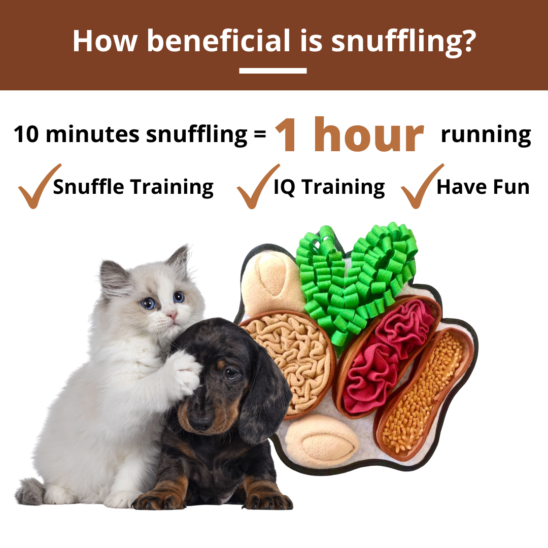 PawzNDogz – wholesale Pet mat – Dog – Chonky Peanuts™ Snuffle Mat | Challenge Level 22