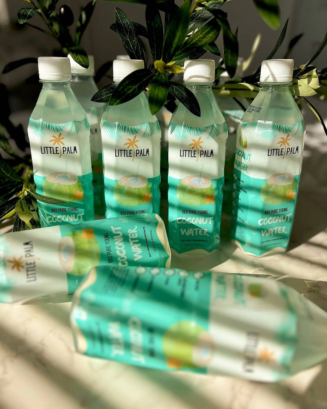 Little Palm - Wholesale Flavored/Infused Water (Non-Carbonated) - Little Palm - Young Coconut Water 12-Pack5