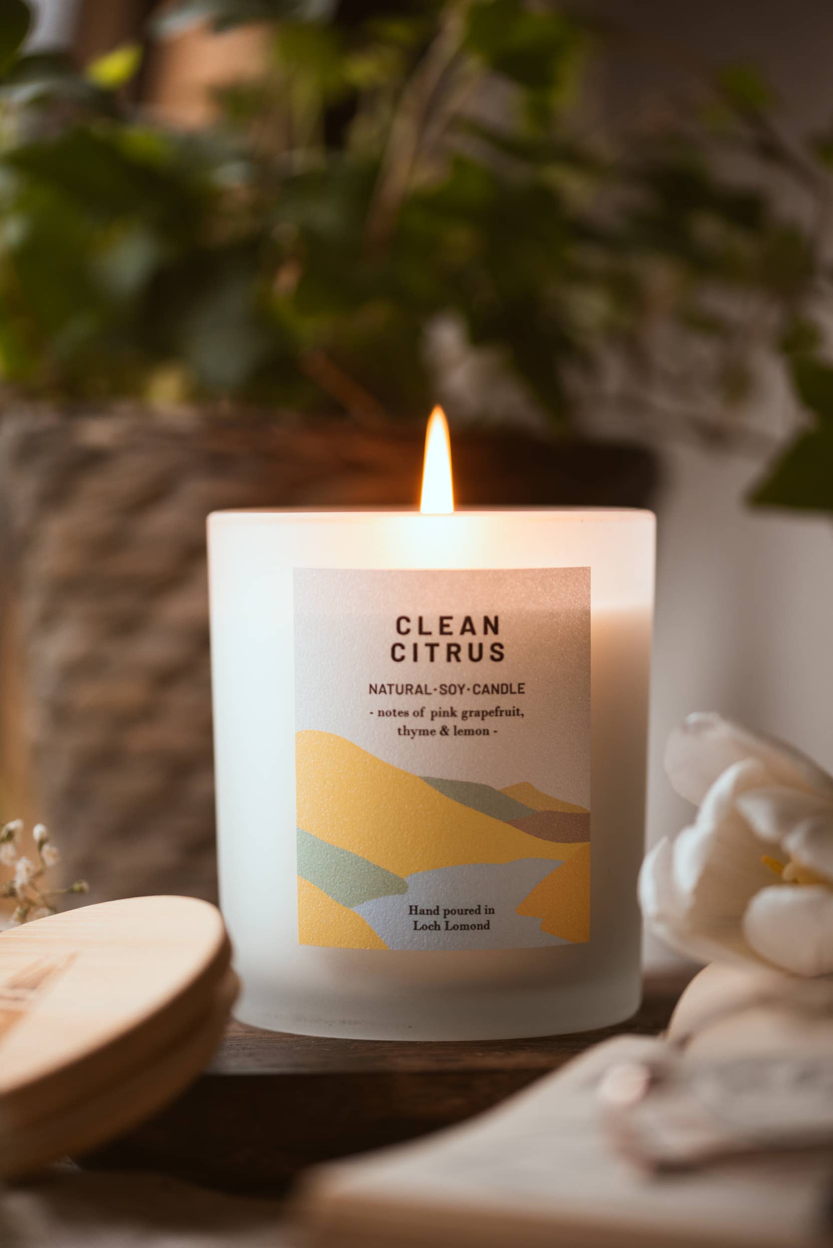 Ocoee House – wholesale Jar/filled candle – Clean Citrus, Organic & Vegan Scented Candle | Ocoee House7