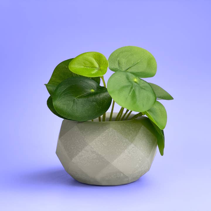 AURA 8 Art Boutique - Wholesale Plant Pot - Geometric Air Plant Holder, Small Plant, Mini Succulent Pot