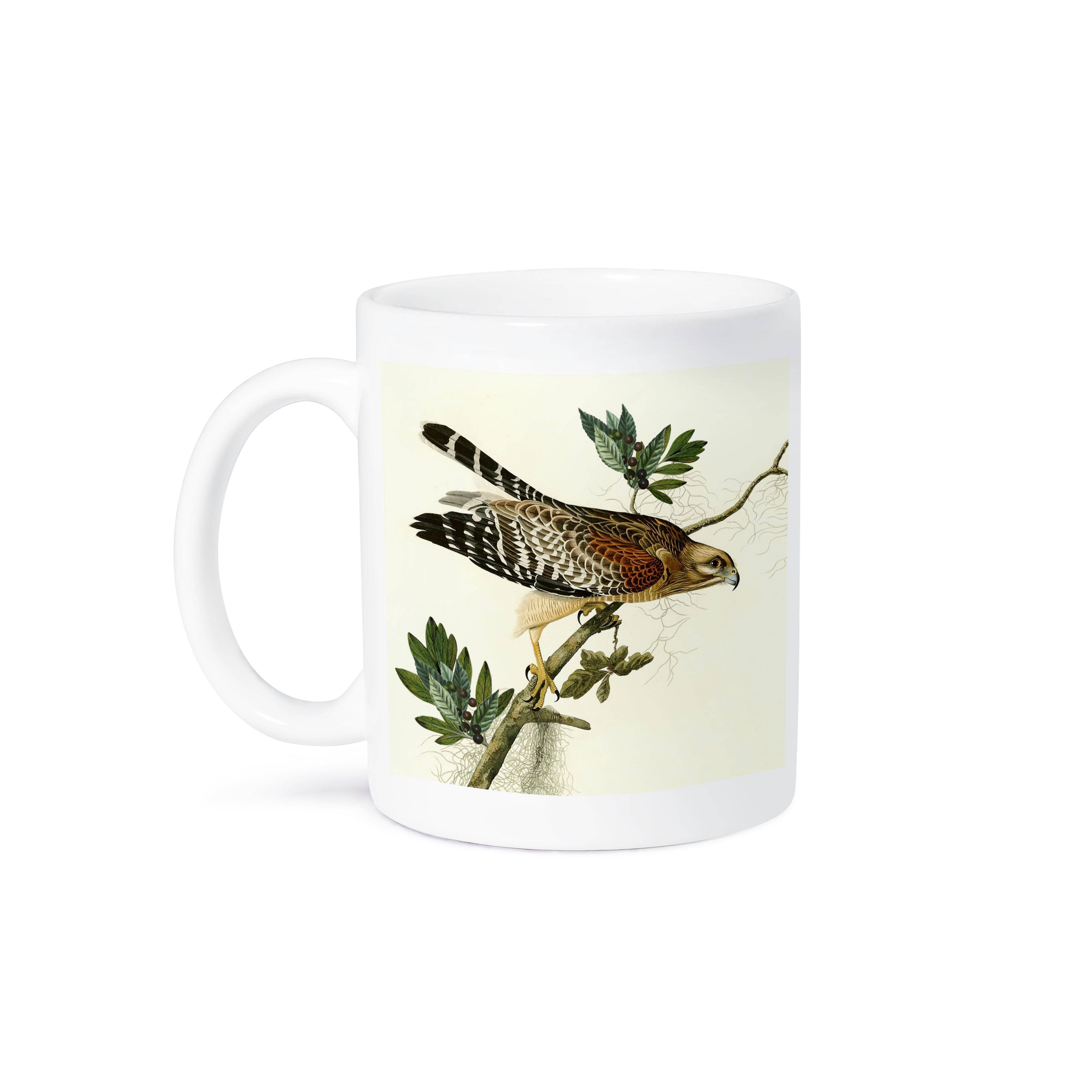 3dRose - Wholesale Coffee Mug - 3dRose, Red-shoulder Hawk Birds of Prey Audubon America Vintage Art Print, Mug8