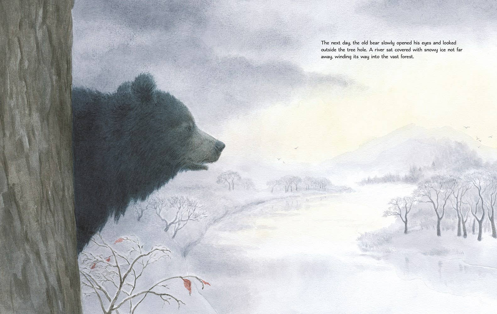 Reycraft Books - Wholesale Preschool Book (3-5) - Across the River2
