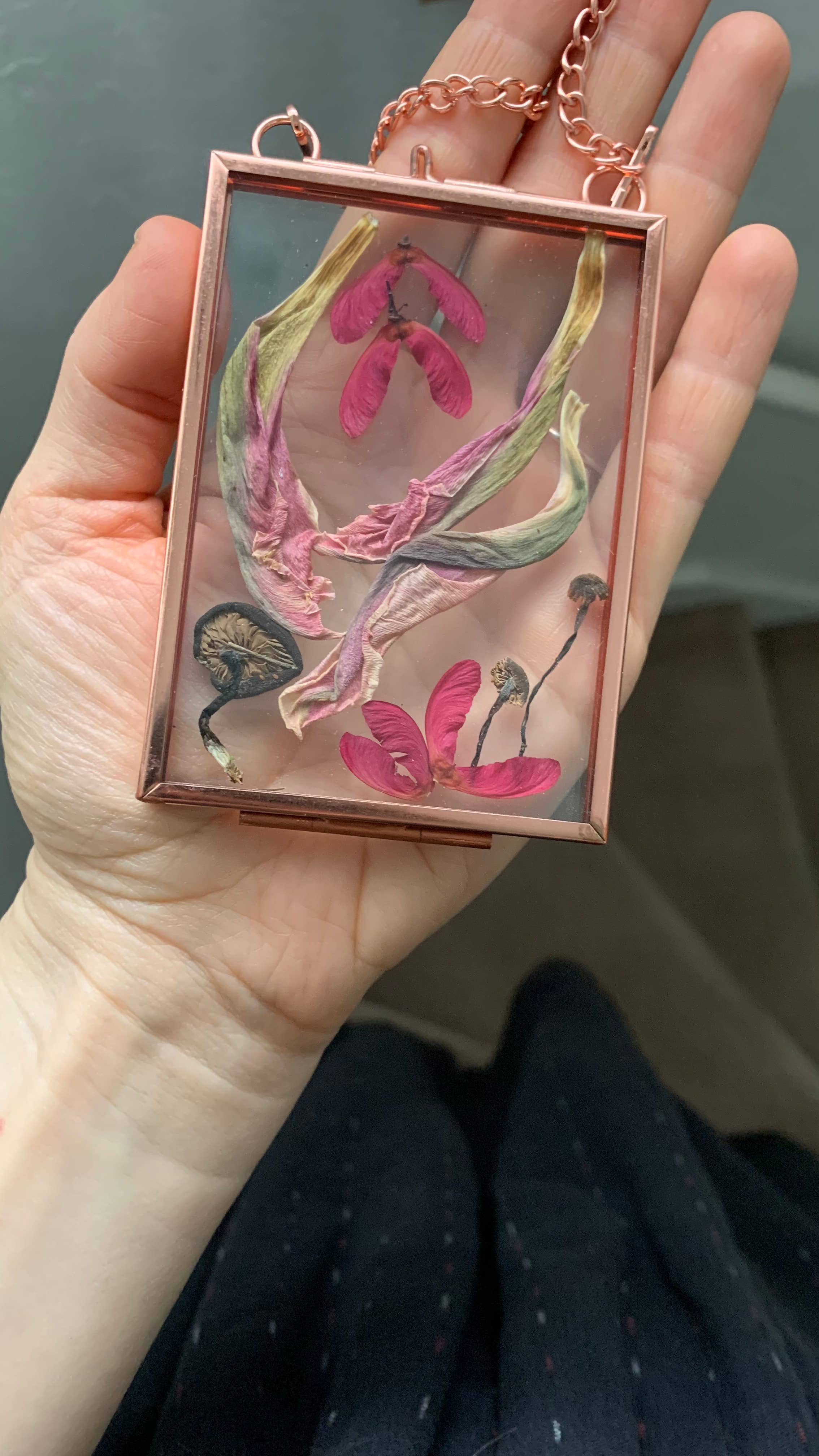 Twig and Snip - Wholesale Dried/Pressed Flowers - Miniature Pressed Flower & Fungi Windows 3.5"x 2.5"6