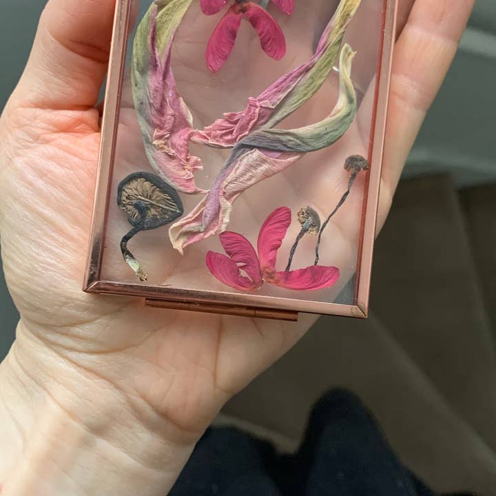 Twig and Snip - Wholesale Dried/Pressed Flowers - Miniature Pressed Flower & Fungi Windows 3.5"x 2.5"6