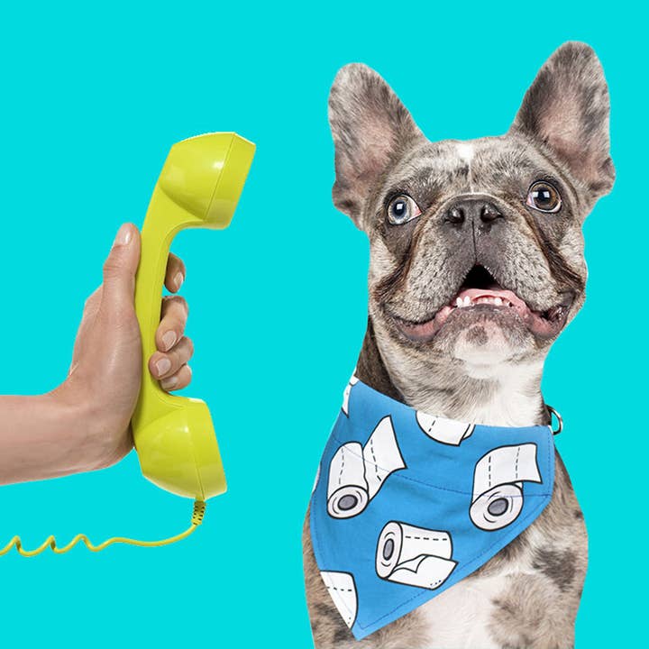 Sjovt Toiletpapir - Over Kraven Hundebandana - Sidste Chan for engroshandel hos Woofingtons & Company