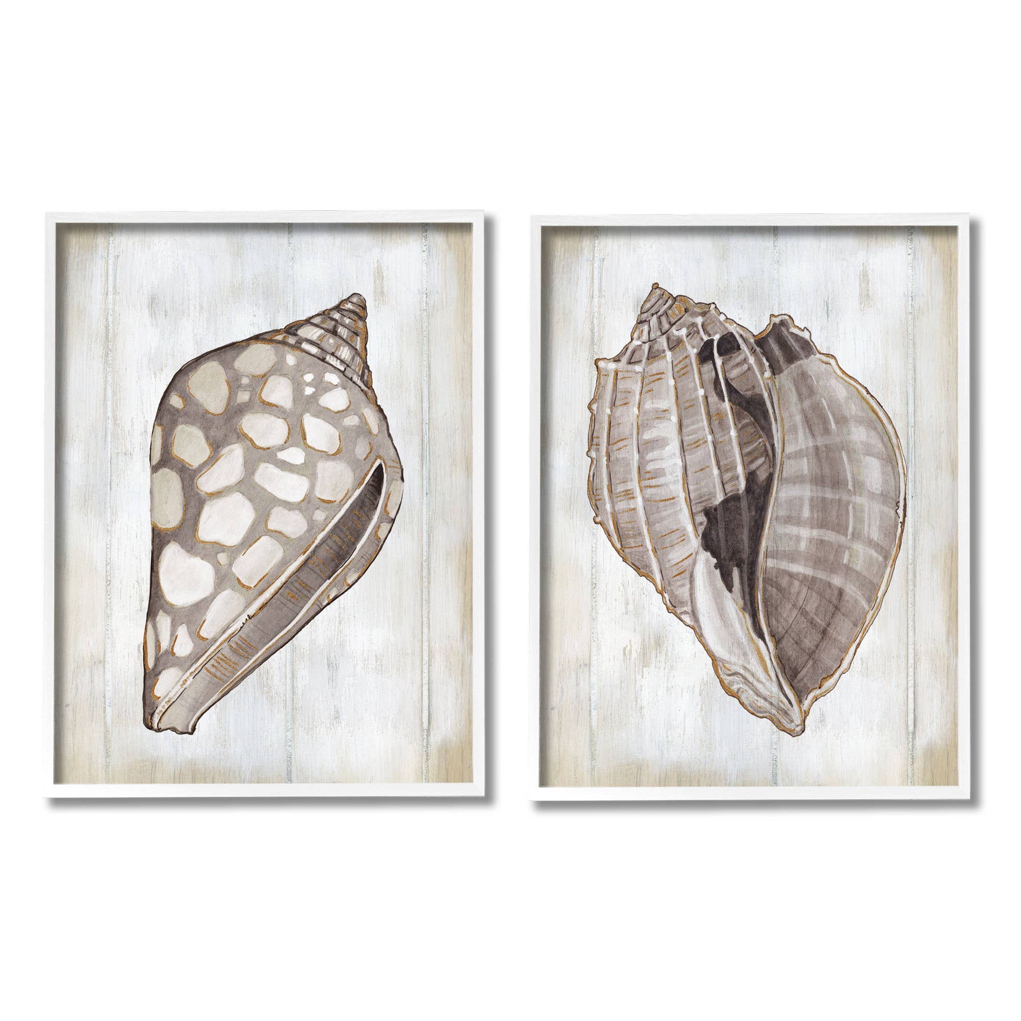 Stupell Industries - Wholesale Gallery Wall Set - Brown Nautilus Sea Shells 2pc Framed6