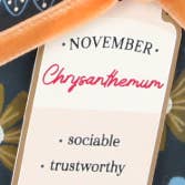 UWP Luxe - Wholesale Everyday Greeting Card - Chrysanthemum Floral Pop-up Card with Bow Embellishment1