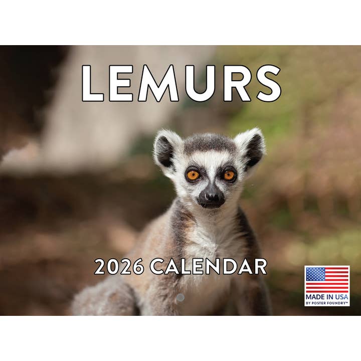 Lemur Calendar 2026 Wall Monthly for wholesale by 2026 Calendars