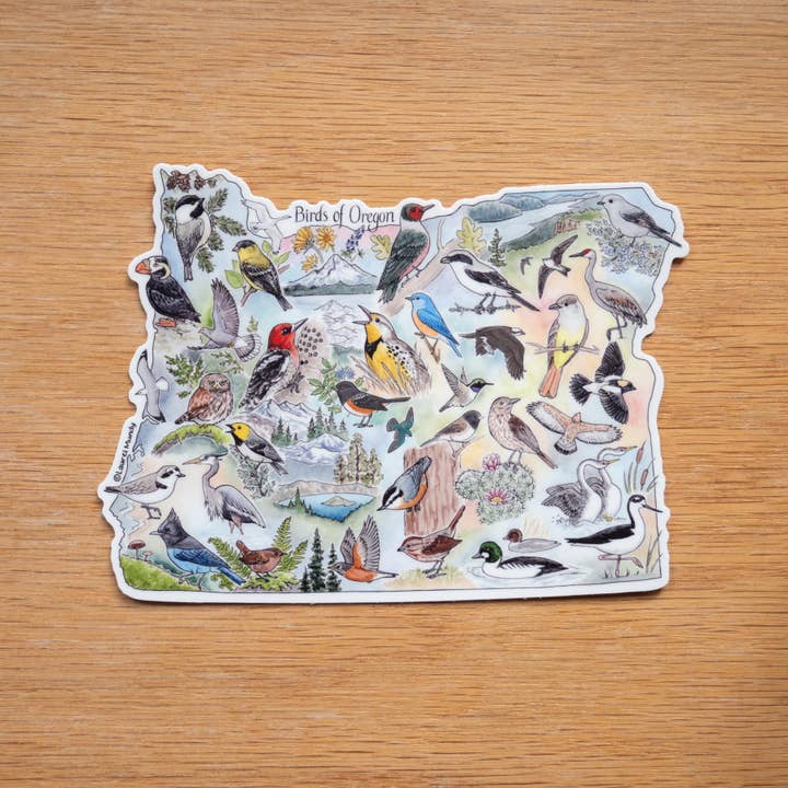 Laurel Mundy Illustration - Vente Autocollant - Autocollant en vinyle grand format 5"X3,75" Oiseaux de l'Oregon1