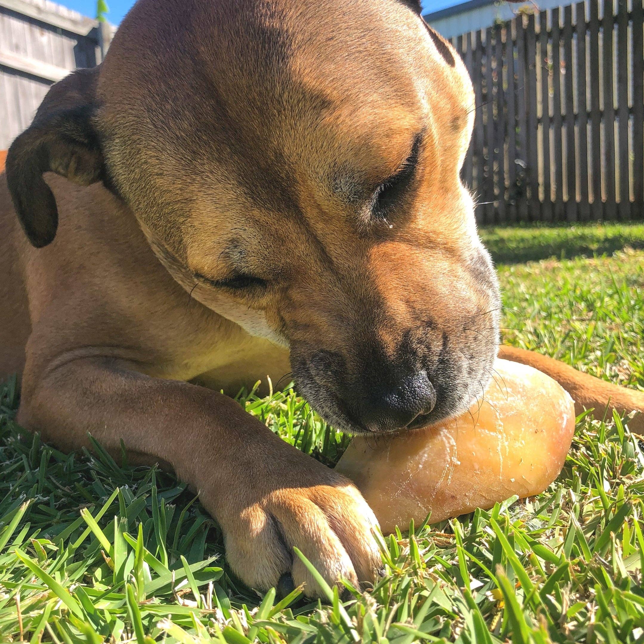 Rover Pet Products - Wholesale Pet Treats - Dog - Hooves There? - Cow Hooves9