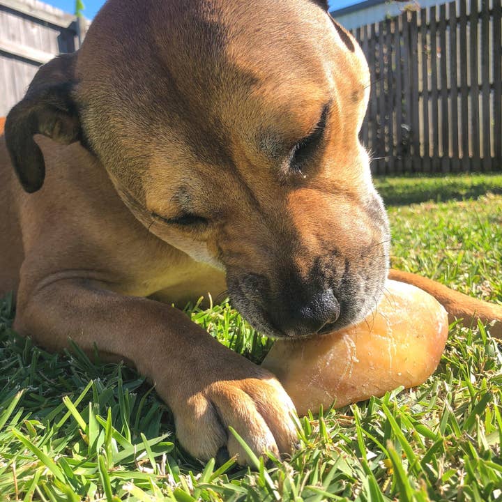 Rover Pet Products - Wholesale Pet Treats - Dog - Hooves There? - Cow Hooves9