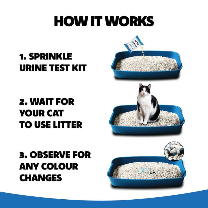 OurPetsLife - Vendita all'ingrosso Integratore per animali domestici - Gatti - Kit per test delle urine per gatti Dr Ted Ematuria/Rilevatore di sangue4