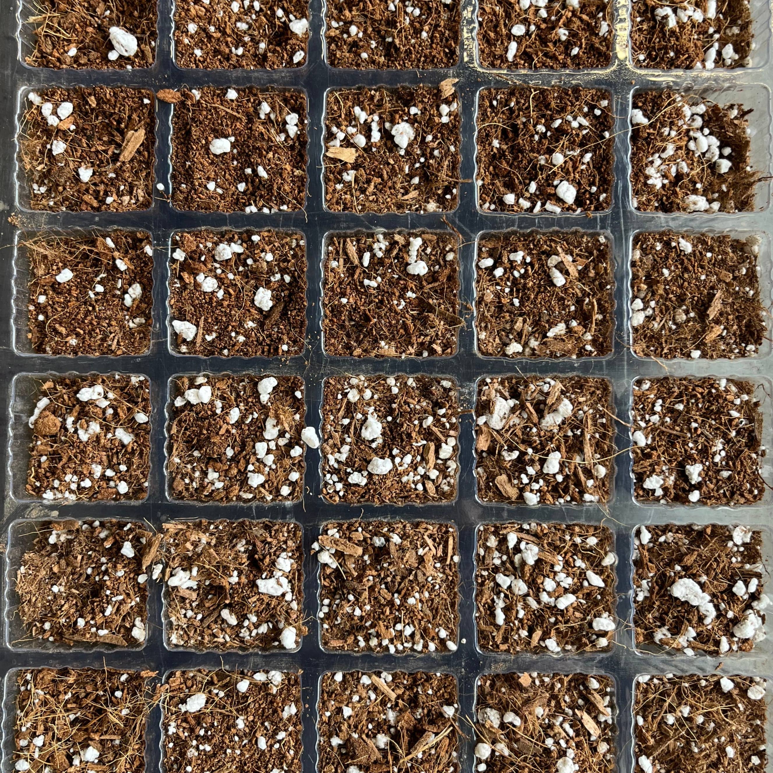 Ivy May Co - Wholesale Planting/Potting Soil - Bulk Propagation & Seed Starting Mix 1