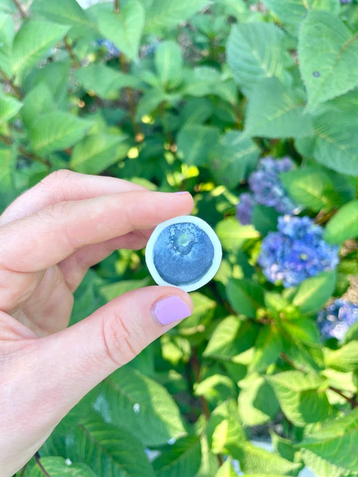 Einzelner kleiner Blaubeer-Aufkleber für den Großhandel von Ellen Schaefer Art