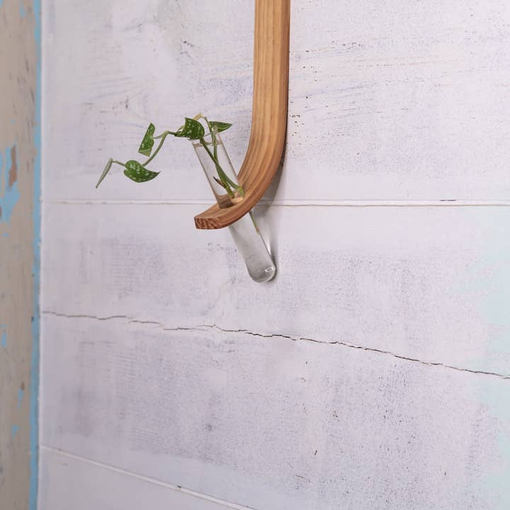 Horsemen Co. - Wholesale Wall Planter - Single Propagation Station with Tube6