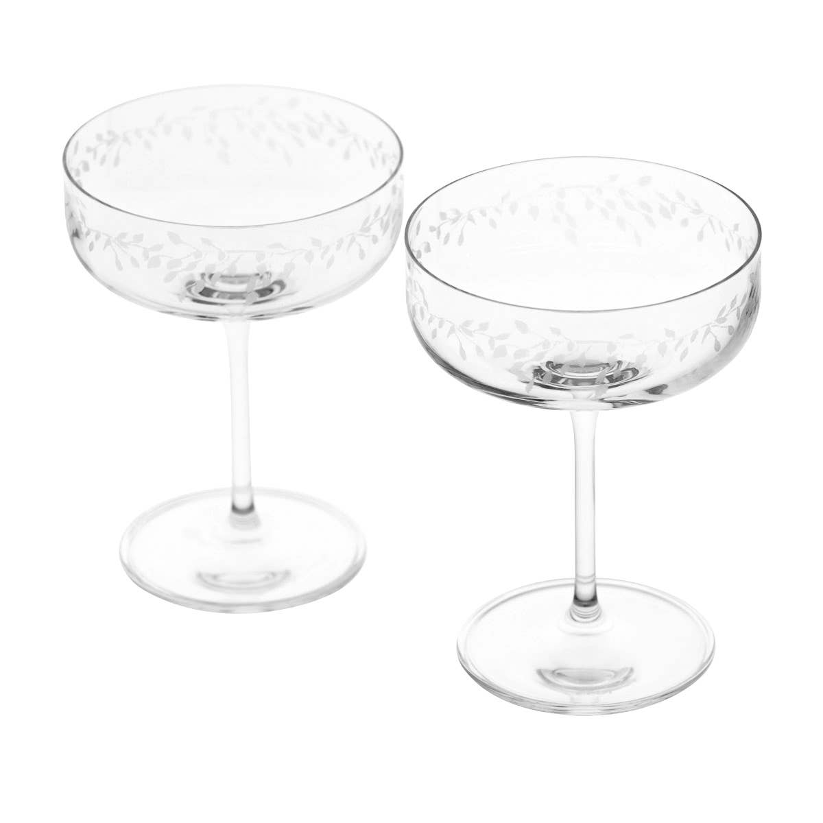 Emma Britton Decorative Glass Designer – wholesale Cocktail/liquor glass – Silver Birch Etched Crystal Champagne Coupe (10.5oz)2
