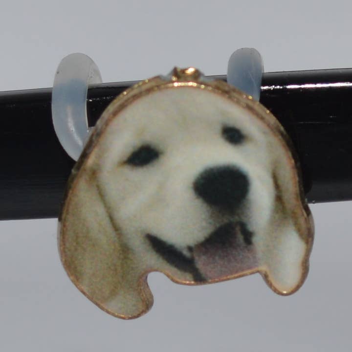 Visage de laboratoire EyeDeco Charme A50 pour la vente par Www.eyeglasssesdecorations.com