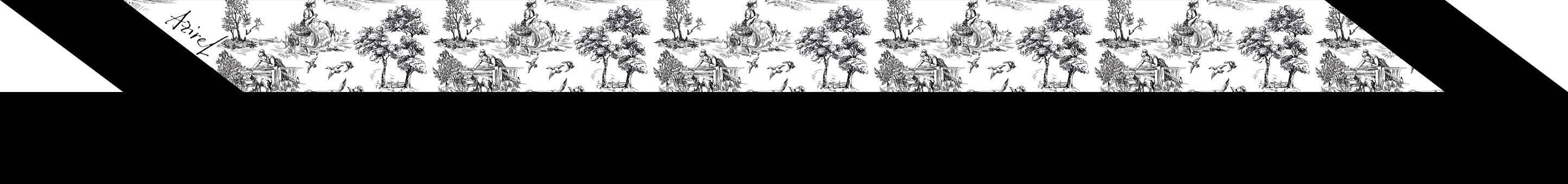 Malibu & Beyond Co /LENNOX MODE - Vendita all'ingrosso Sciarpa - Donna - Piccola e iconica sciarpa lunga sottile Twilly in seta con stampa toile6