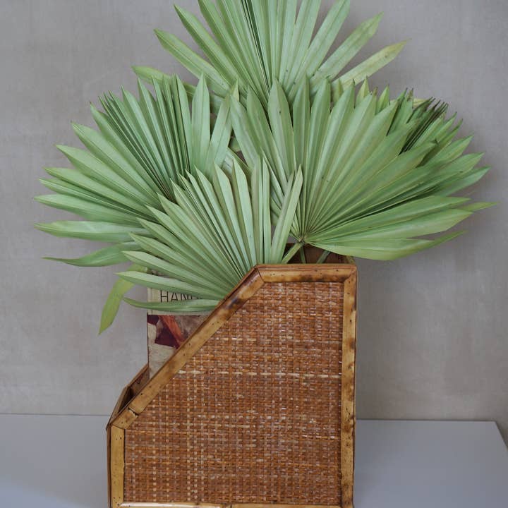 FlowerFantaSee - Wholesale Dried/Pressed Flowers - Palm Leaves 1