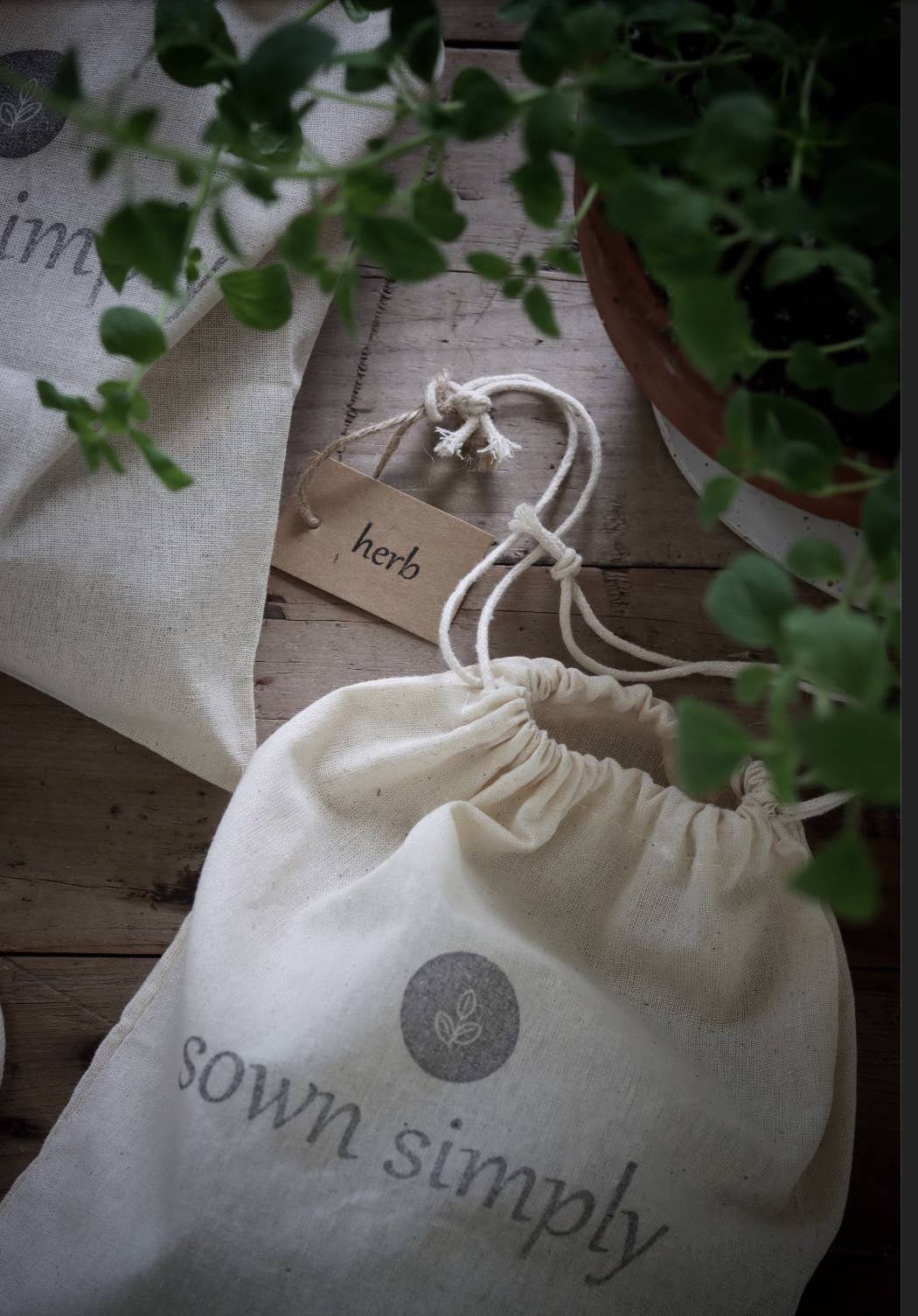 Sown Simply - Wholesale Plant Seeds - Herb Garden Kit of 31