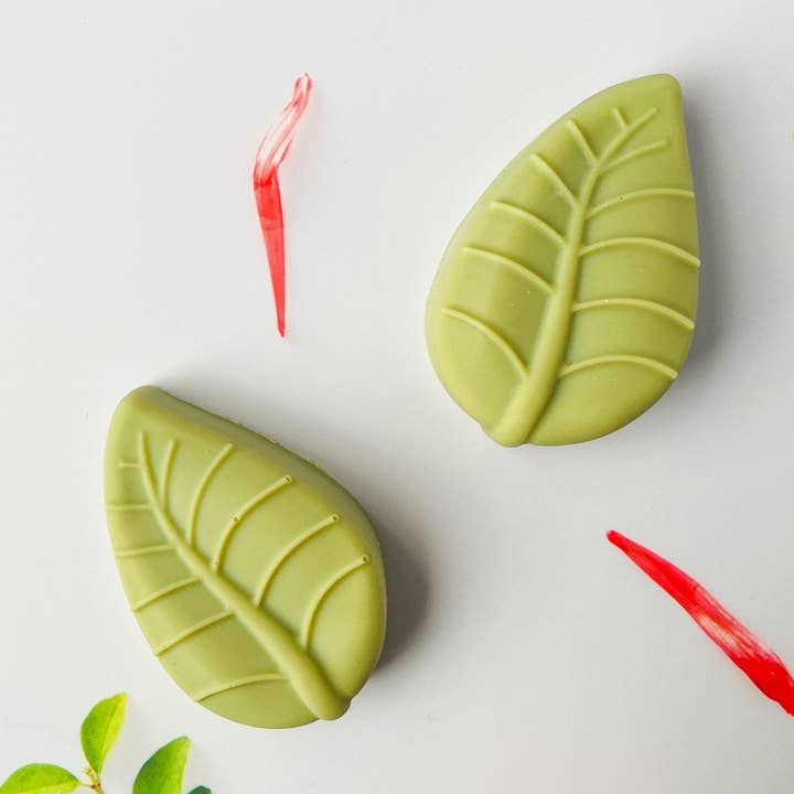 Tammi Home Body & Bath - Wholesale Bar Soap - Handmade Artisan Natural Soap | Grow with Love | Bamboo Musk Scent0