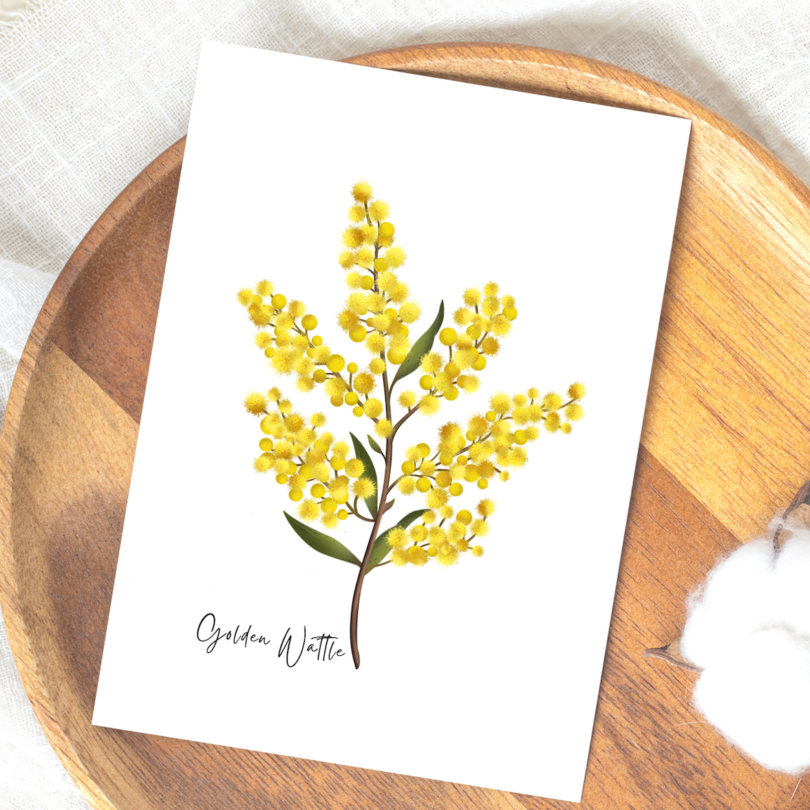 Australiana Gifts Co - Wholesale Everyday greeting card - AGCC1007: Golden Wattle Flower Card1