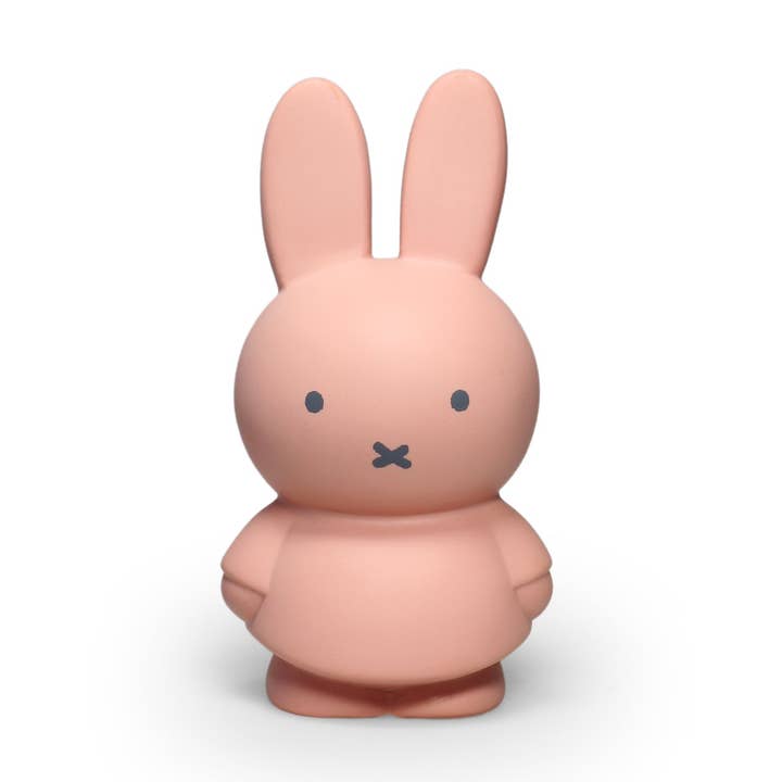 Atelier Pierre Miffy Coin Bank (Small) for wholesale by Just Dutch US