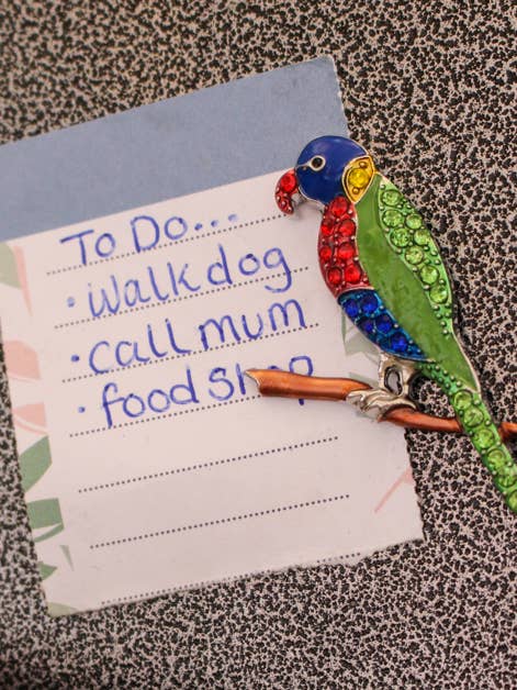 Imán Lorikeet Diamante para venta al por mayor de Wildtouch