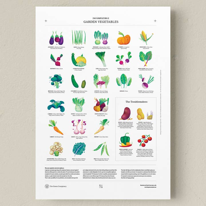 Tuinposter - Compatibele groenten - A2 (42 x 59,4 cm) voor wholesale door The Green Conspiracy