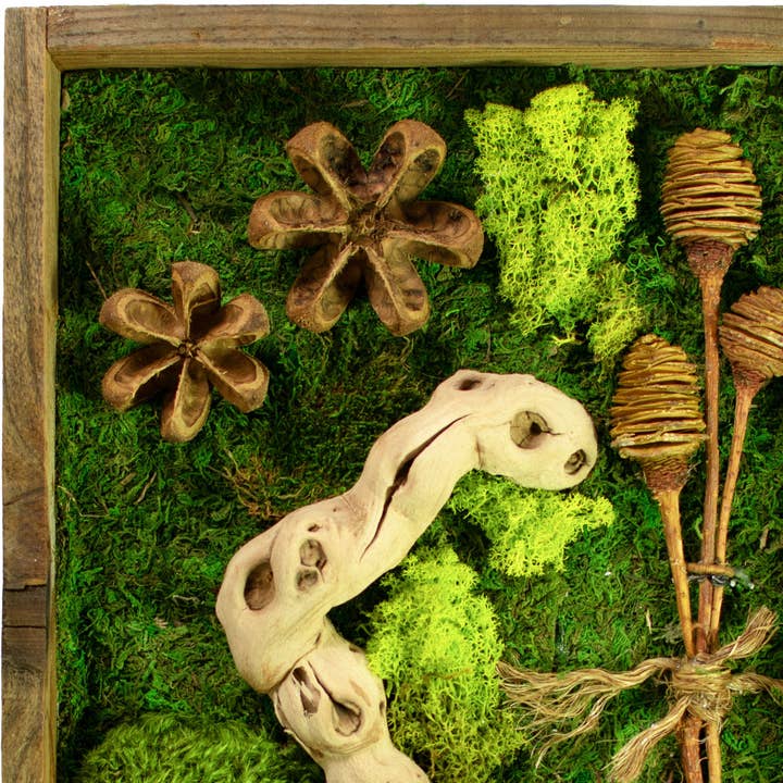 Lee Display - Wholesale Wall Accent - The Circular Moss & Succulent Wall Frame5