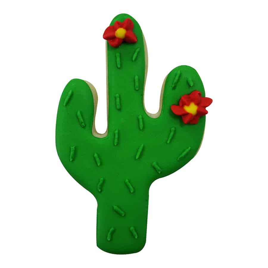R&M International - Vente Emporte-pièce - Emporte-pièce en forme de cactus (4 po)1