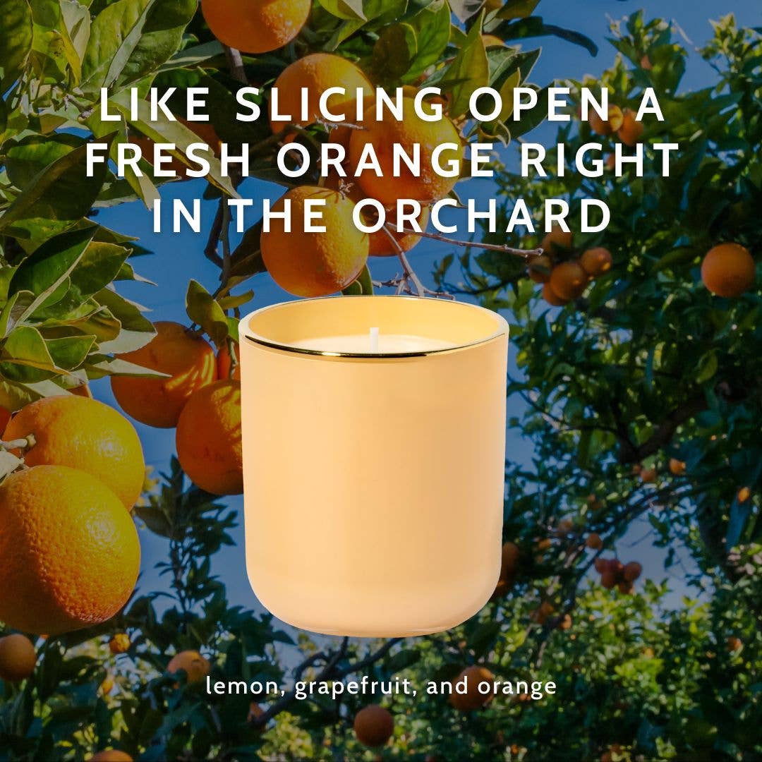 Little Torch - Wholesale Jar/Filled Candle - glow candle (lemon, grapefruit, and orange)3
