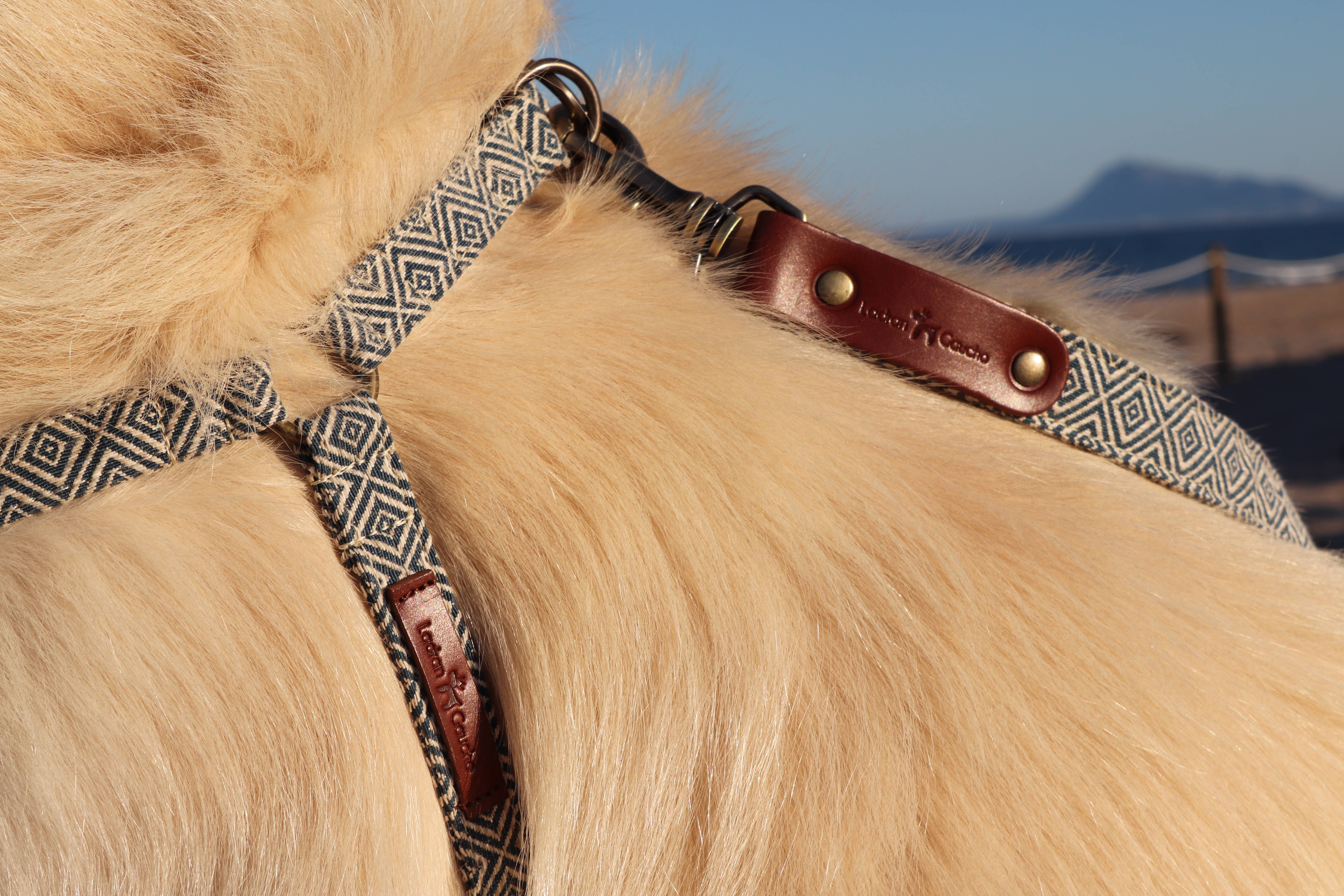 Ladran Gaucho - Vente Harnais – chien - Harnais Dalton6