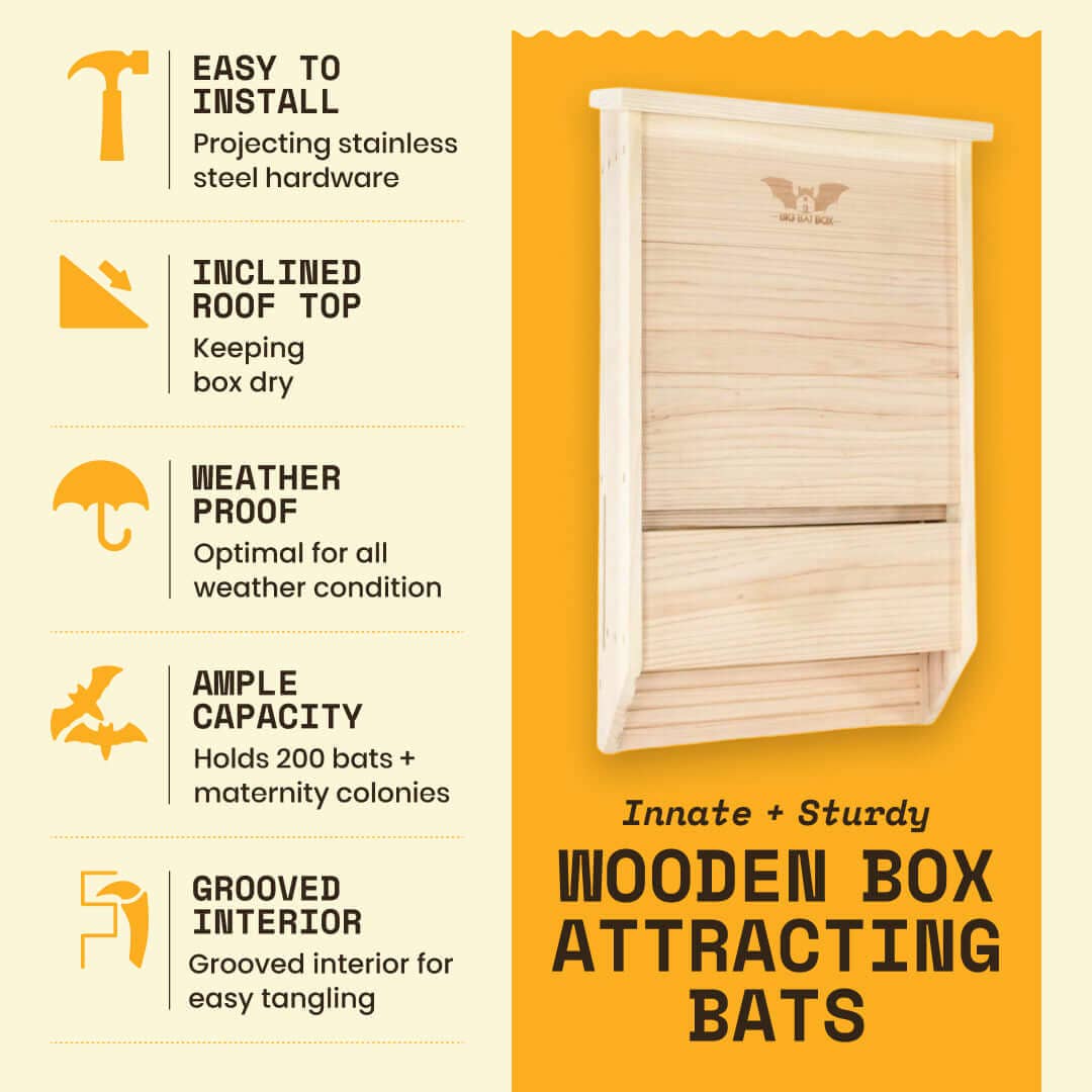 Big Bat Box – Großhandel Vogelhäuser – Drei-Kammer-Fledermaushaus – Premium-Zedern-Fledermauskasten (Zeder)3