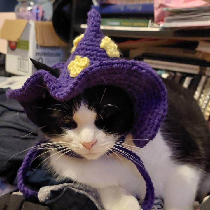 Glitter Ghost Clothing and Accessories – chapéu - Cão por atacado – Chapéu Crochet Brilha - Chapéu de Gato - Chapéu de Pet4