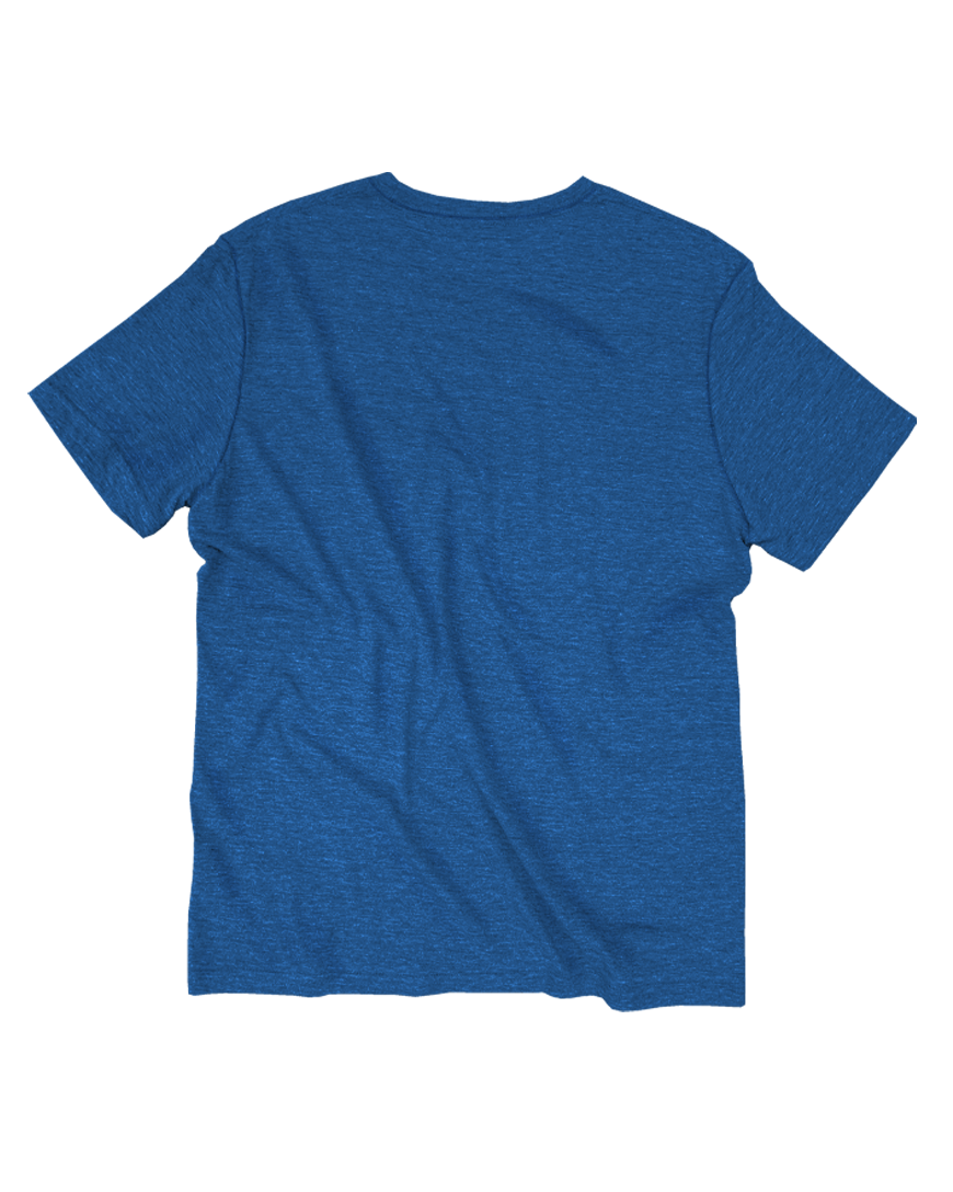 GOEX Apparel - Wholesale T-Shirt - Men's - Unisex Short Sleeve Triblend Tee12