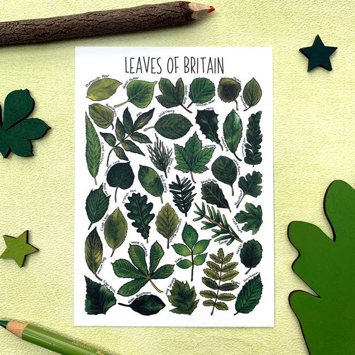 Leaves of Britain Art Blank Postcard for wholesale by Alexia Claire Ltd