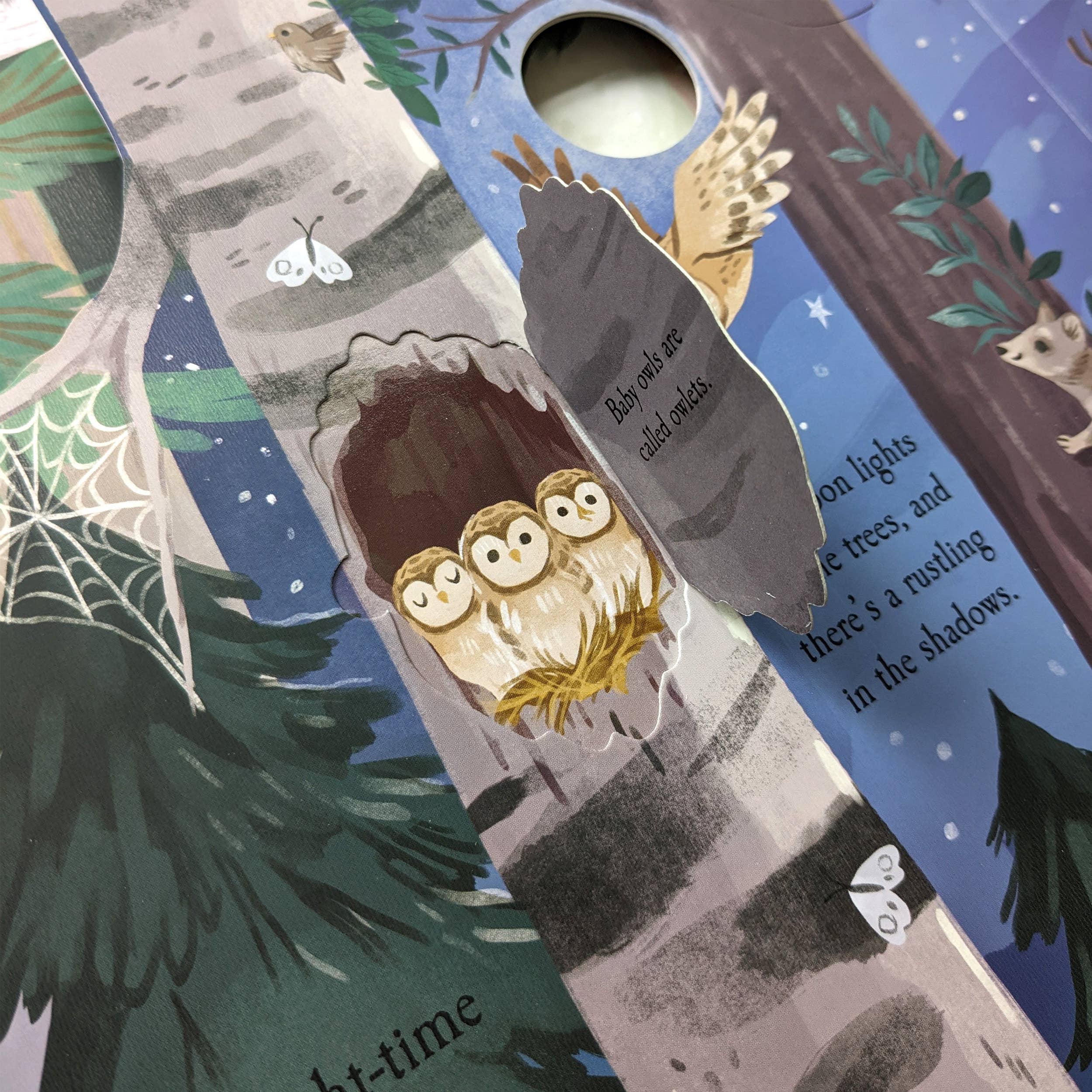 Robert Frederick Ltd – wholesale Pre-school book (3–5) – Nature Die Cut Book - Woods2