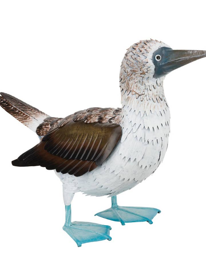 Blue Footed Booby Decor for wholesale by Regal Art & Gift