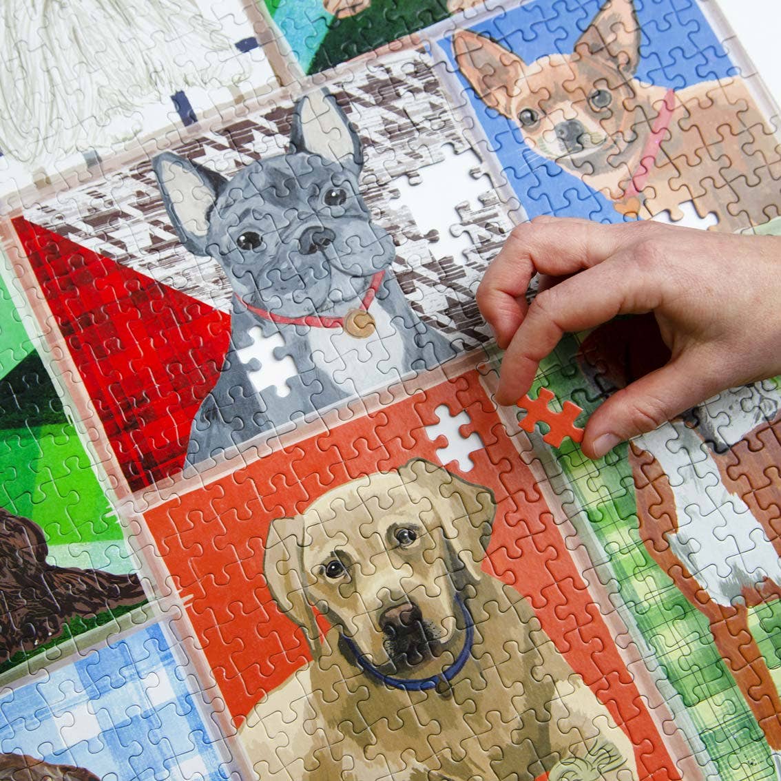 Talking Tables USA - Wholesale Puzzle - Adult - Dog Breeds Jigsaw Puzzle - 1000pcs | Christmas Gifts |1